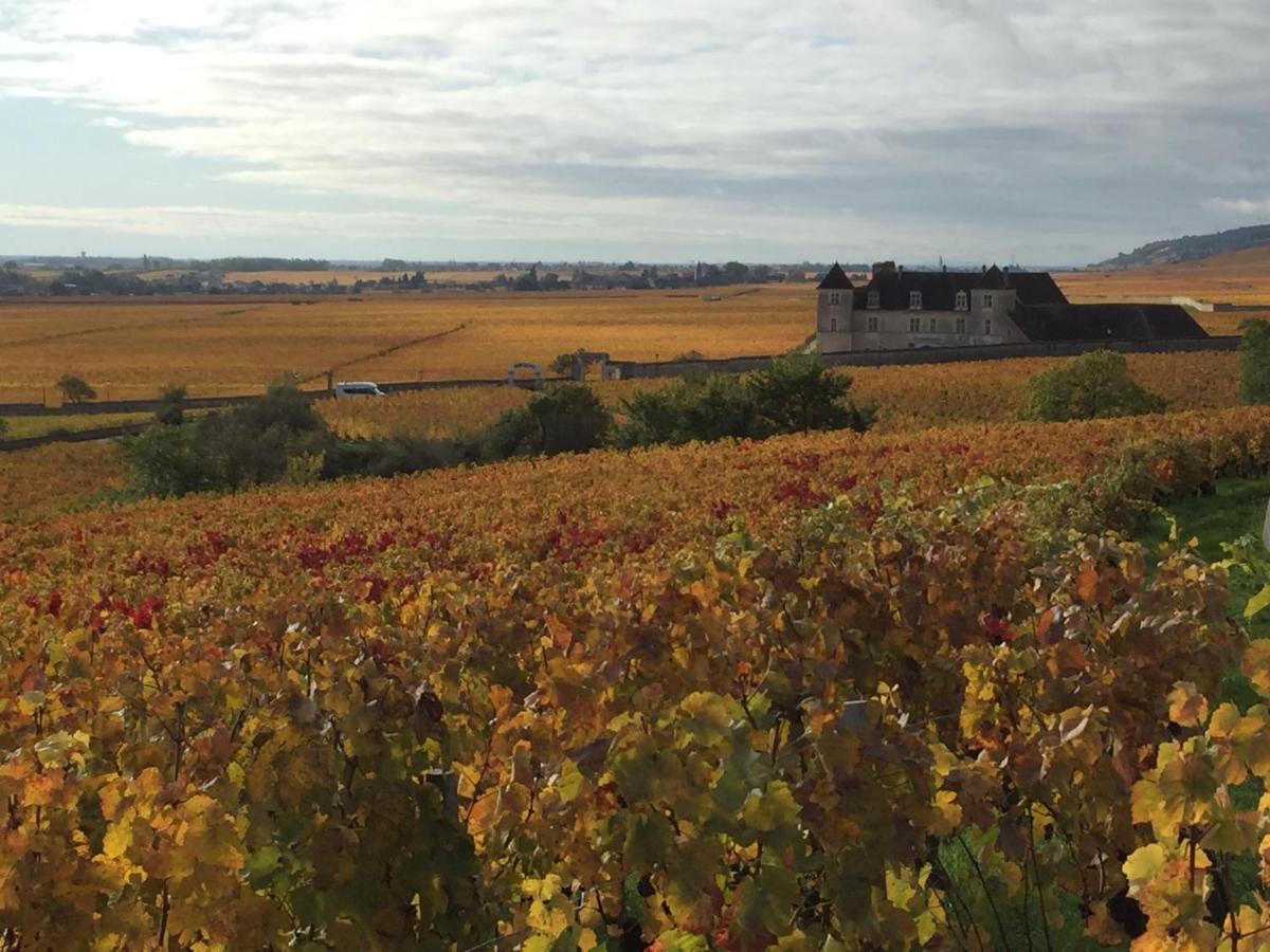 Les Hauts De Fixin, 50M2 Avec Exterieur Sur La Route Des Grands Crus, Dijon Sud Exterior photo