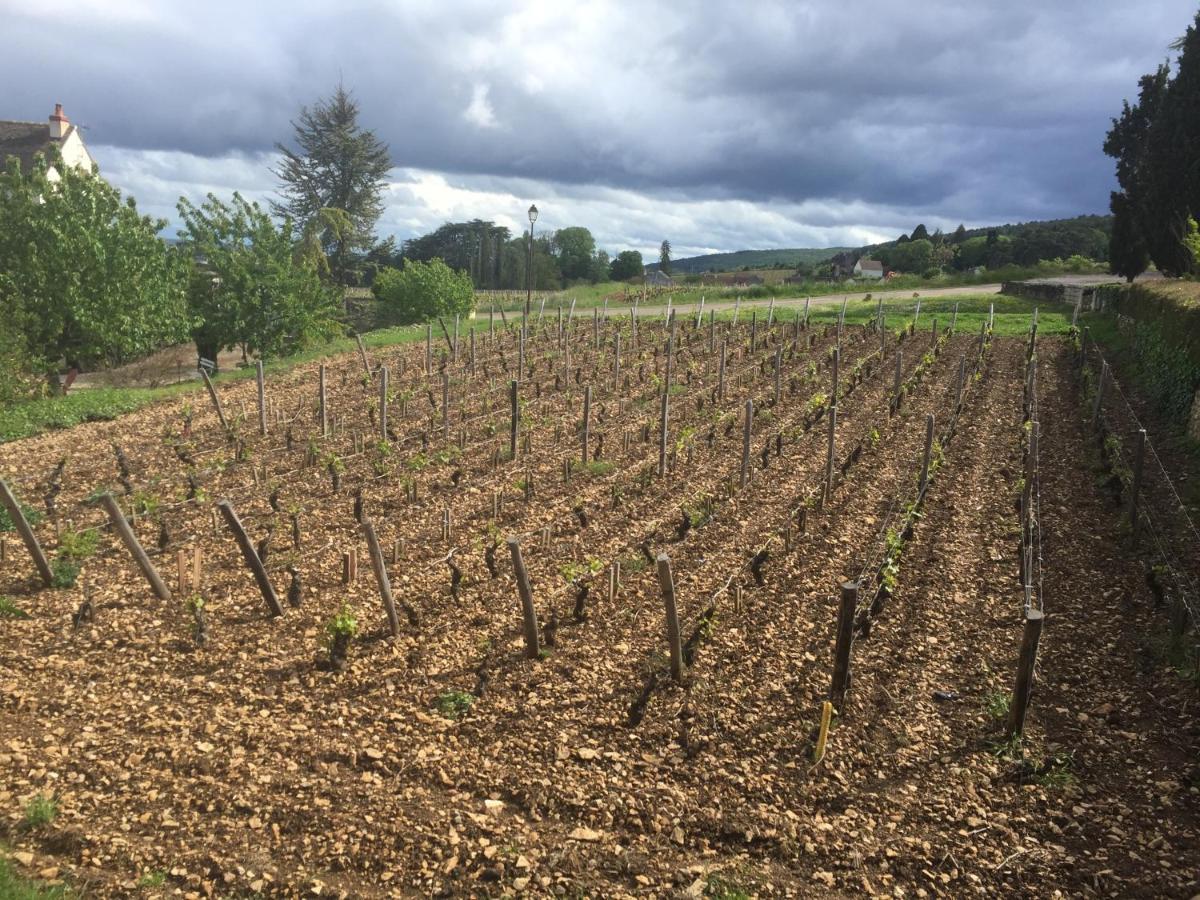 Les Hauts De Fixin, 50M2 Avec Exterieur Sur La Route Des Grands Crus, Dijon Sud Exterior photo